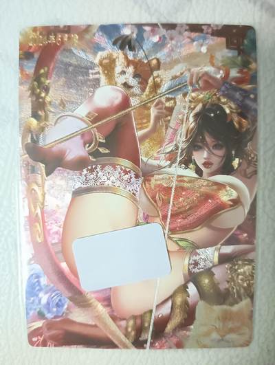 花开卡拍第40期（9月28号周日截拍，品控勿拍!!!拍品不寄存，运费5元，自制卡难免瑕疵，可能存在轻微撞角爆边等出厂瑕疵，品控介意勿拍！） - 卡玩帕克  2024年6月满赠 粗闪孙尚香