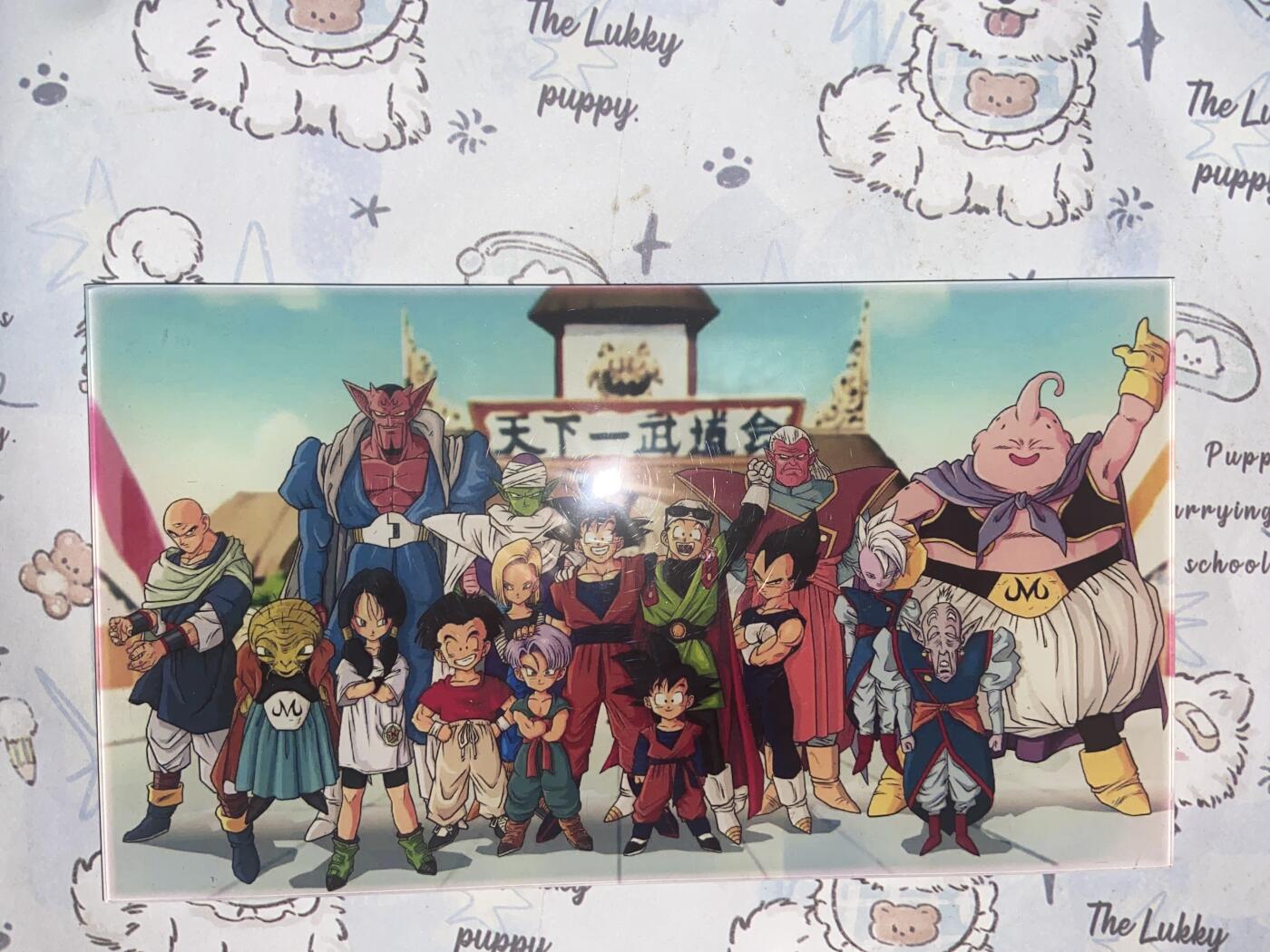 阳大大卡牌拍卖第73期（持续收拍品，周五晚上九点截拍，进群福利早知道） 七龙珠 第24届天下第一武道会 限定典藏 镜面大磁卡