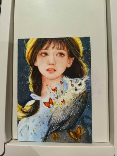 龙虎卡牌第五十六场 小浣熊 趣卡社五虎 百里亲签 万享盲盒（无佣金，满120包邮，周六晚上结拍，欢迎送拍） - 【手绘卡】孤品 《少女与长耳鸮》 水彩作品 画师：SLLN（启航工作室）