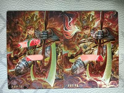 花开卡拍第40期（9月28号周日截拍，品控勿拍!!!拍品不寄存，运费5元，自制卡难免瑕疵，可能存在轻微撞角爆边等出厂瑕疵，品控介意勿拍！） - 卡玩帕克 水浒姬 李逵 渐变对卡 粗闪2张