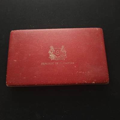 【全场包邮】纯粹捡漏拍463场-大量精品持续更新 - 新加坡