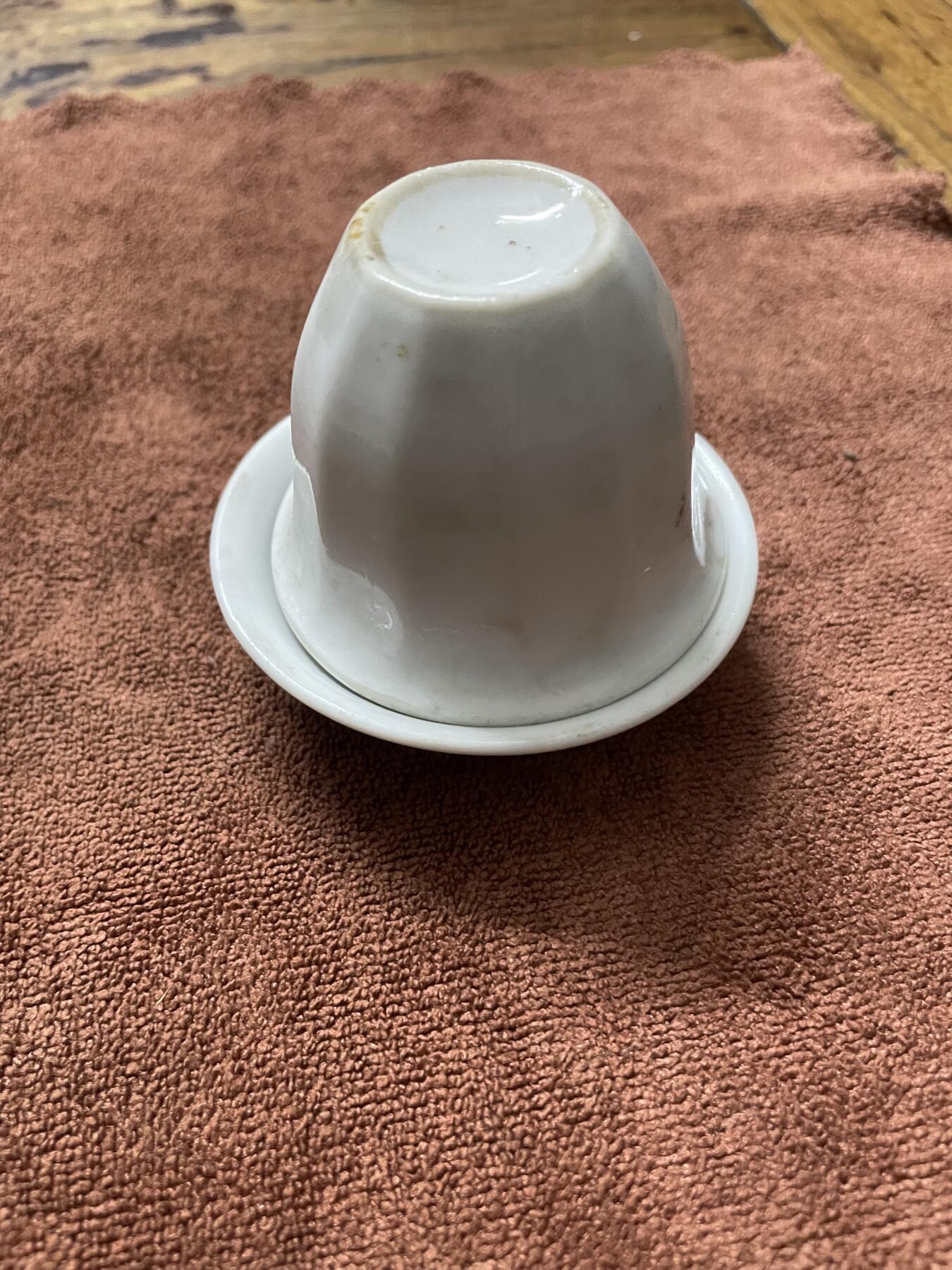 主人杯