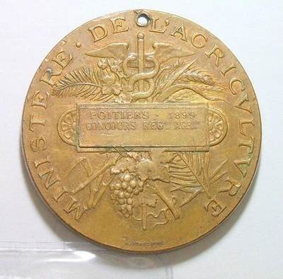 【旋风钱币】10月4日19:00准时开拍 精美欧洲币章 第三帝国货币等 全场包邮！ 法国1899年 小飞侠女神头像高浮雕大铜章 单面镀金 50MM