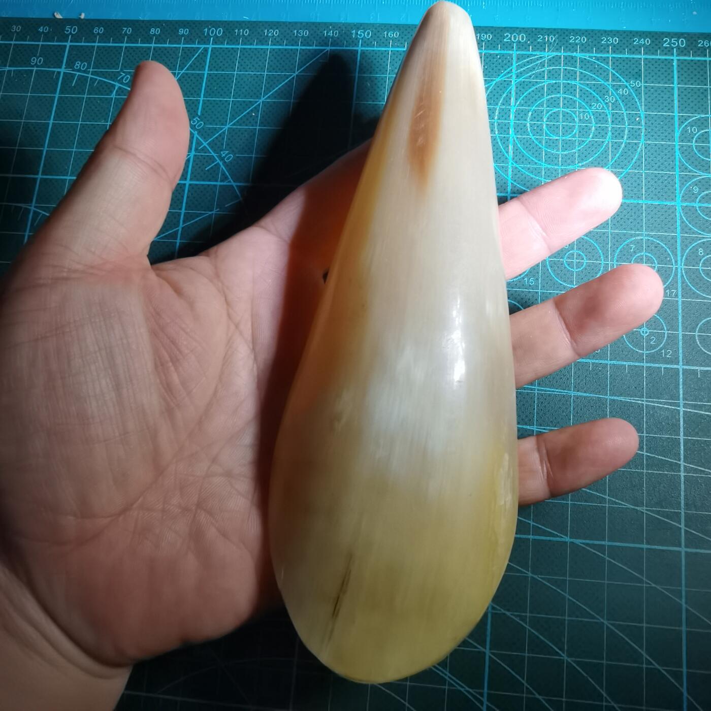 沼泽如烟--第852场 牛角