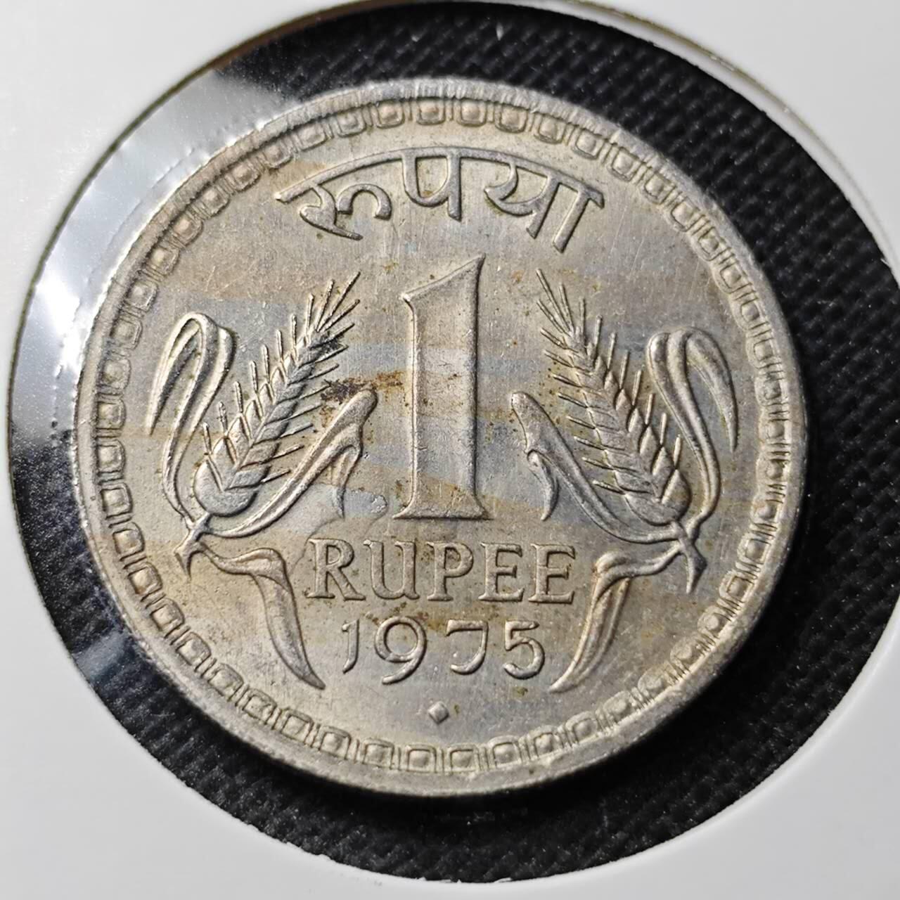 KK钱币收藏小铺 第349场 2月预留时间 周末发货 1975印度1卢比 大币 好品