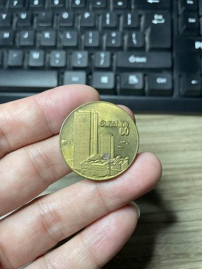 2025年集古藏今外币拍卖第九期-第3场—（总第273拍），可以寄存60天，满160元包邮。 - 1978年阳光城纪念章，直径30毫米