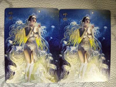 花开卡拍第40期（9月28号周日截拍，品控勿拍!!!拍品不寄存，运费5元，自制卡难免瑕疵，可能存在轻微撞角爆边等出厂瑕疵，品控介意勿拍！） - 燎原刷子妖姬传 蚌精双服饰 普卡