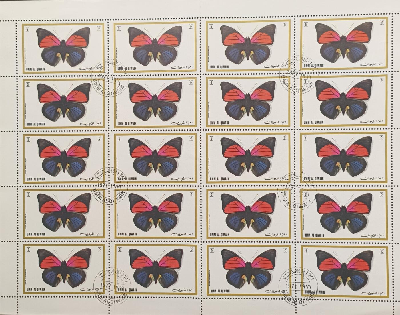 蝴蝶一组，6全