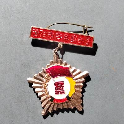 PCAI钱币29-530  纪念章小专场 - 衡阳市青年突击手