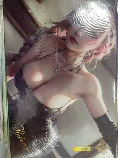 寸草不生拍卖会 第九期 （ 持续收拍中） - 卡卡炫 海贼王 A5女神大卡  如图