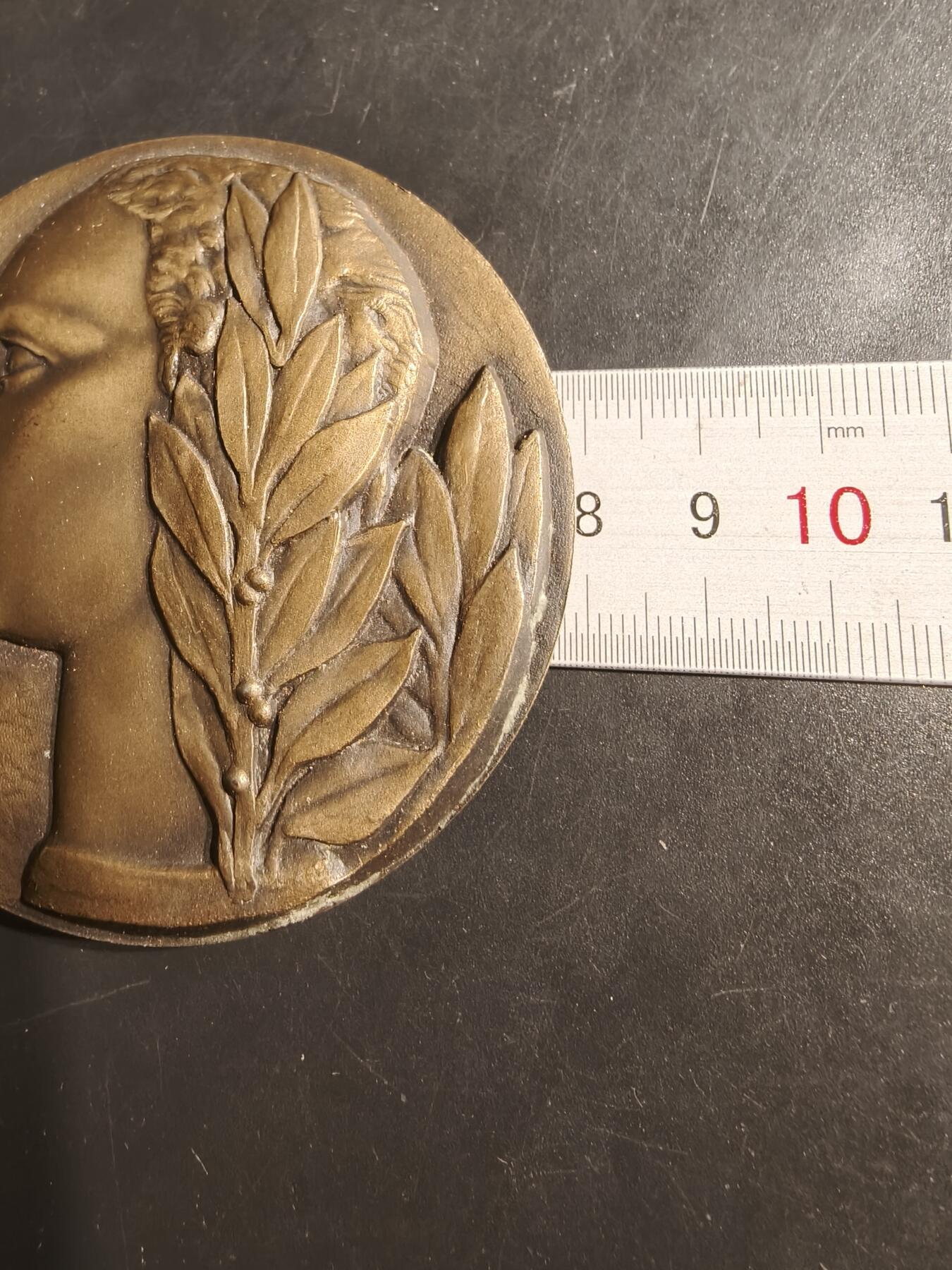 老王徽章第152期 法国女性大铜章     原盒    盒子内部有损     直径80mm.   重量201.2g