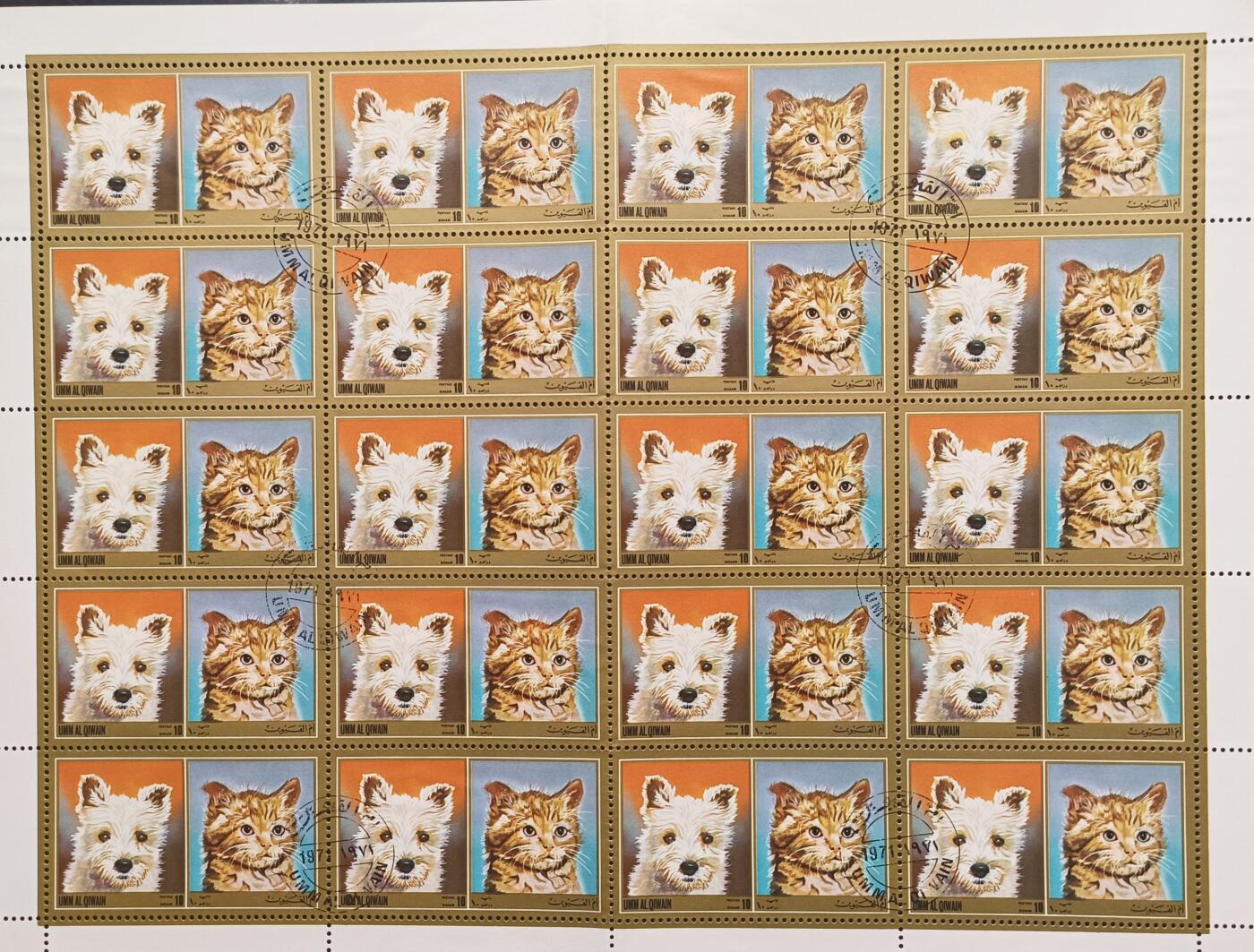 动物一组，盖销