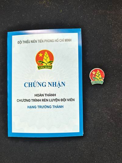 铭记历史 勿忘国耻 抗战胜利80周年国庆精品专场 - 越南少年先锋队证章 带证