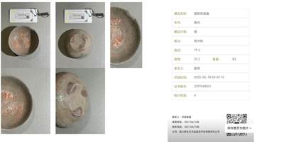闻德评级/易生评/公博级，陶器/货币。可寄存 - 越窑青瓷盏（带定制锦盒）