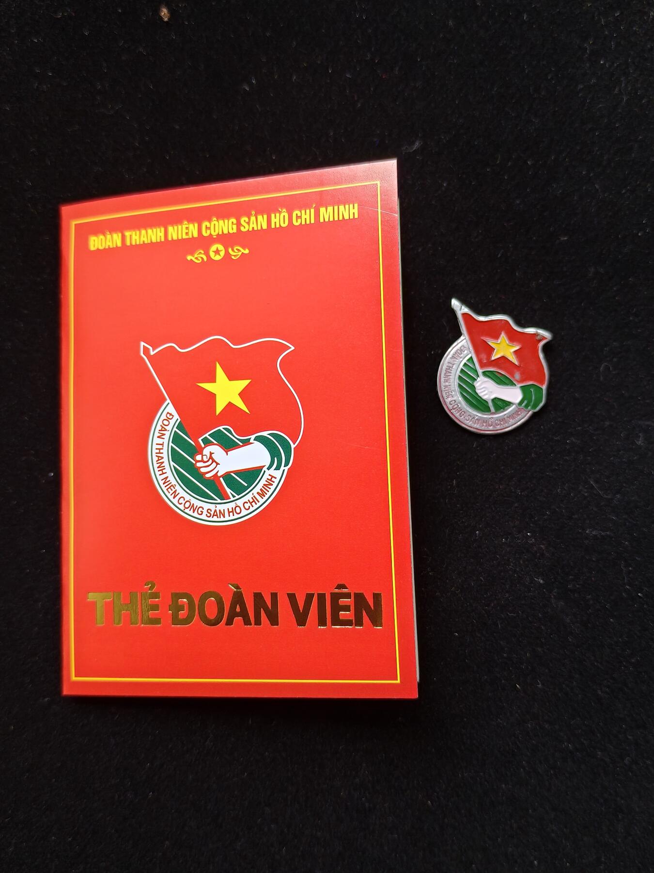铭记历史 勿忘国耻 抗战胜利80周年国庆精品专场 越南共青团证章 带证一套