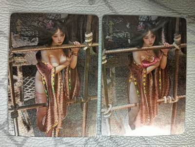 花开卡拍第40期（9月28号周日截拍，品控勿拍!!!拍品不寄存，运费5元，自制卡难免瑕疵，可能存在轻微撞角爆边等出厂瑕疵，品控介意勿拍！） - 燎原卡牌 人间传 金翠莲 幻彩粗闪一对 2张