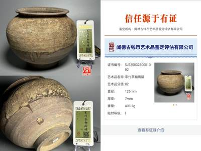闻德评级/易生评/公博级，陶器/货币。可寄存 - 茶釉陶罐（带定制锦盒）