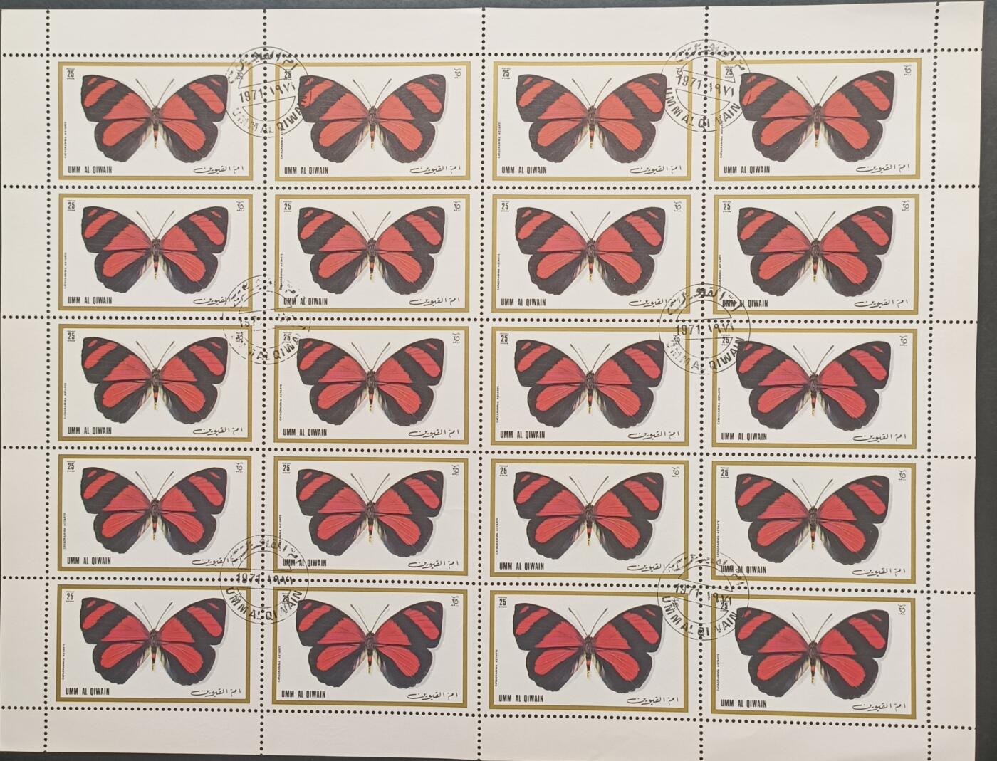 蝴蝶一组，6全