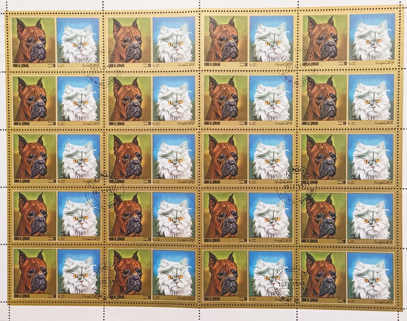 动物一组，盖销