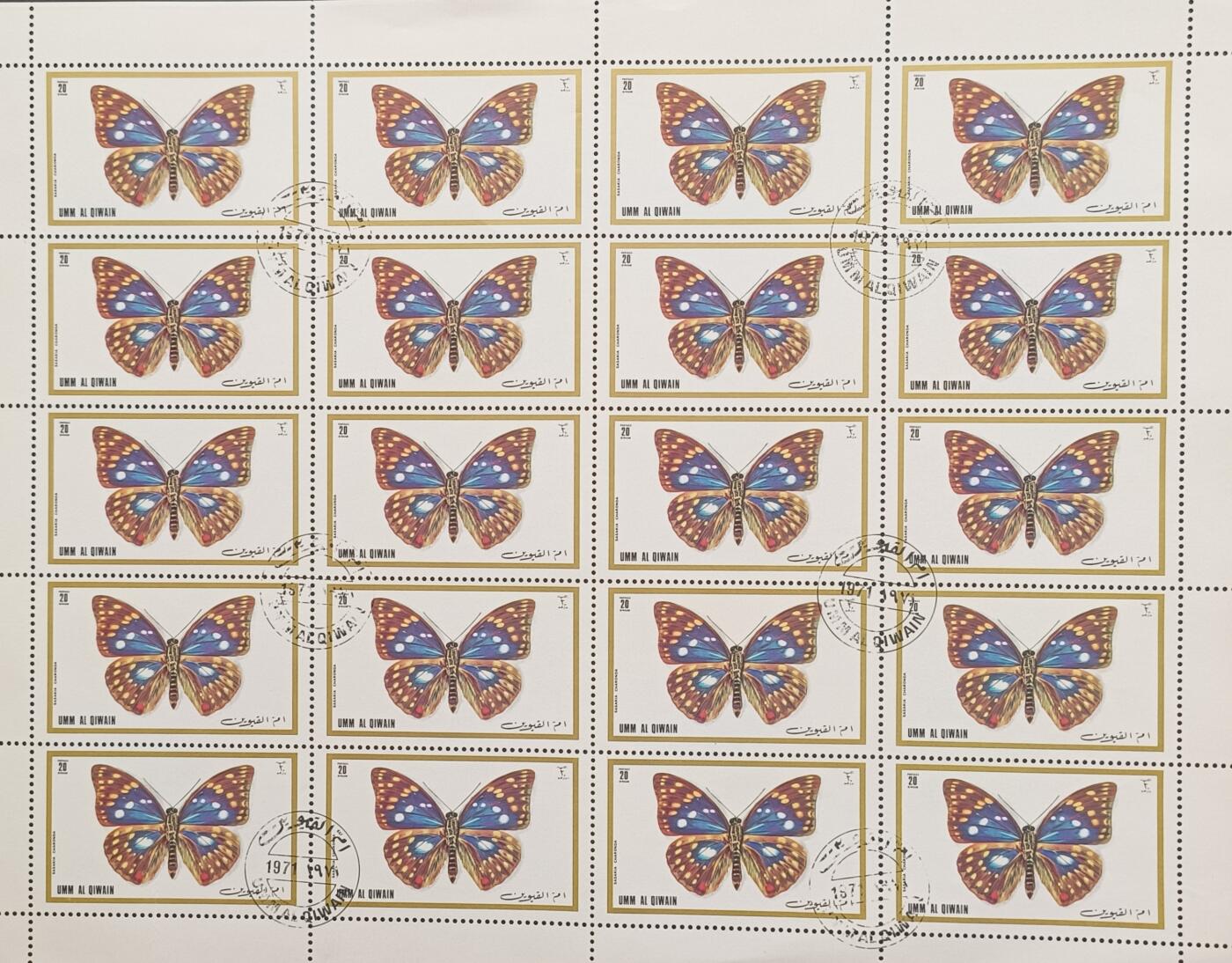 蝴蝶一组，6全