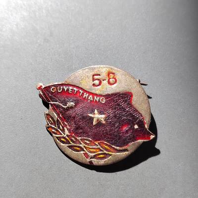 PCAI钱币28-529  纪念章小专场 - 越南8-5北部湾事件