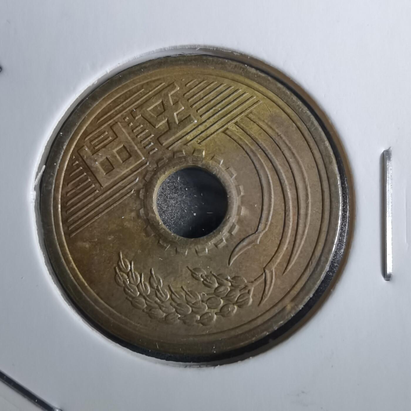 沼泽如烟--第856场