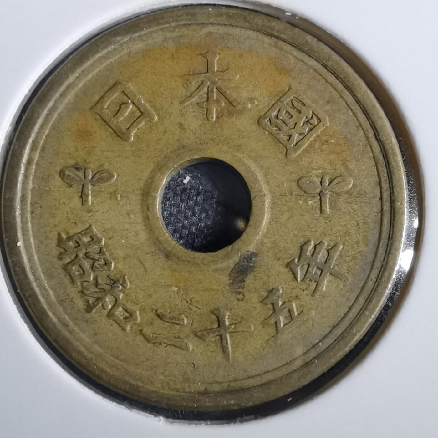 沼泽如烟--第856场