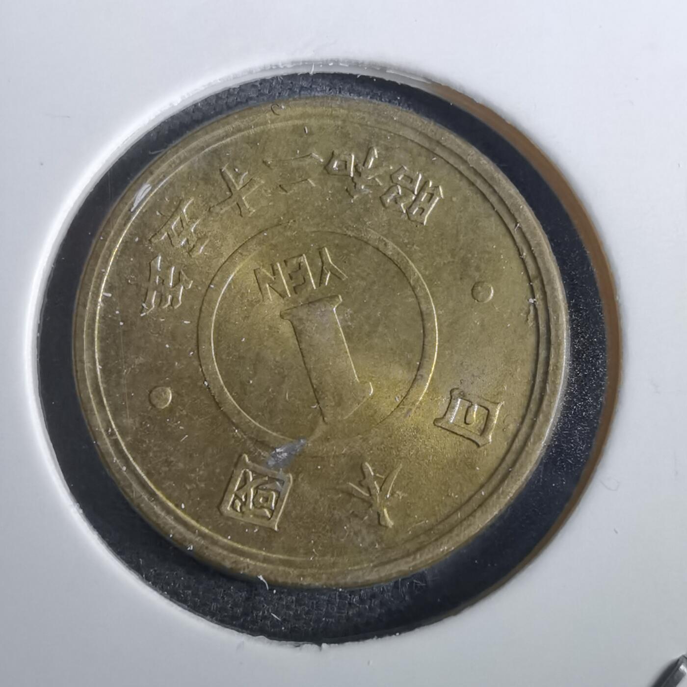 沼泽如烟--第856场