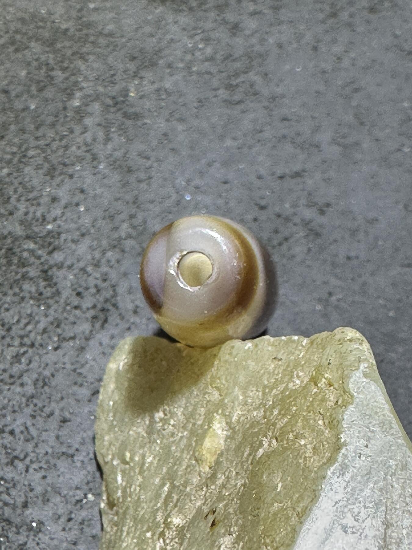 仅此一颗，藏传虎牙随形天珠一颗