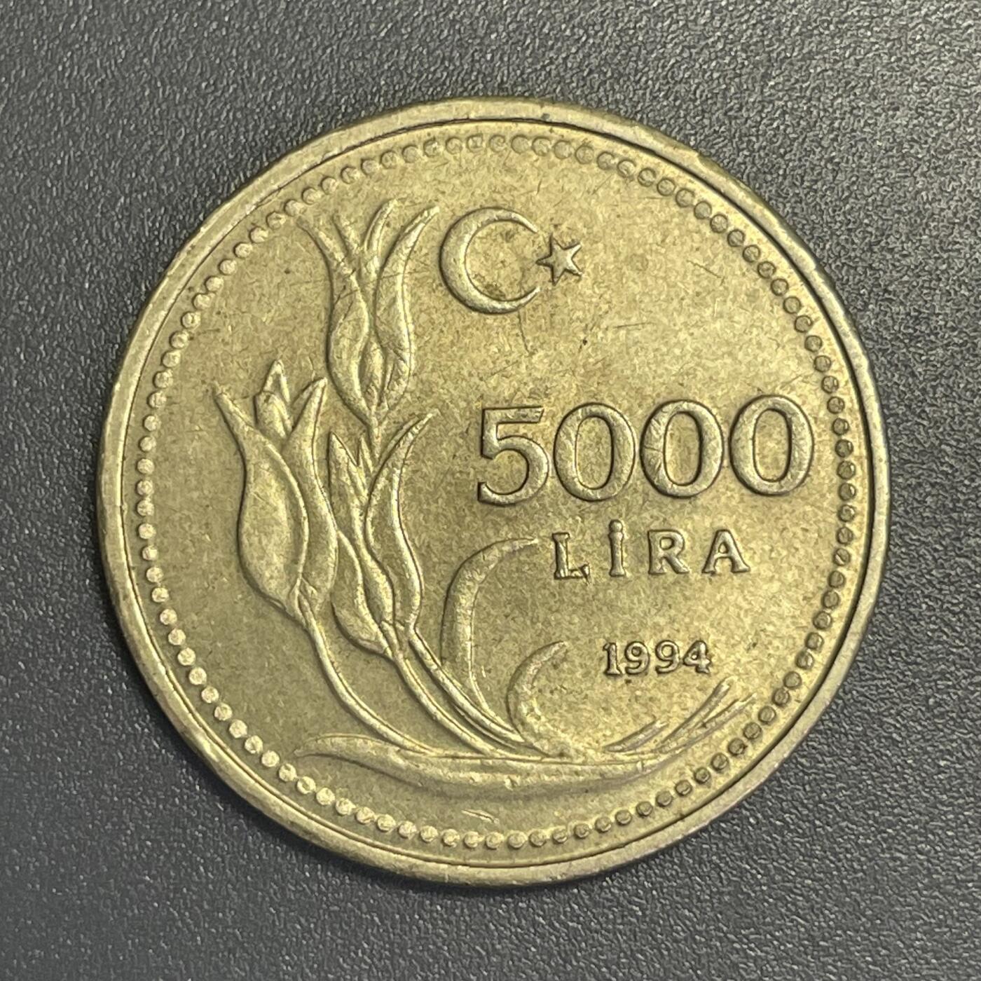 回流钱币1001-1 土耳其1994年5000里拉铜币