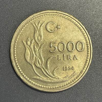 回流钱币1001-1 - 土耳其1994年5000里拉铜币