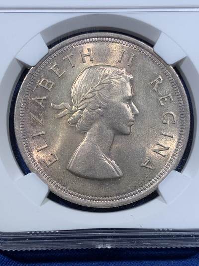 《竞宝斋》第423场 周日，周一，周二  3场连拍 （全场包邮） NGC MS64 南非1953年伊丽莎白二世1克朗大银币，加冕首年。流通版的高分比精铸版更少见。双面淡金彩，十字转光，状态很赞。