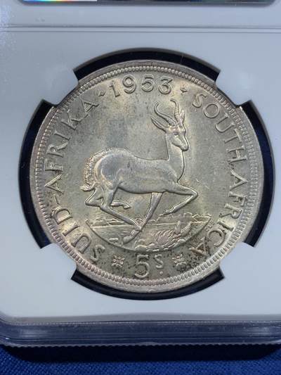 《竞宝斋》第423场 周日，周一，周二  3场连拍 （全场包邮） NGC MS64 南非1953年伊丽莎白二世1克朗大银币，加冕首年。流通版的高分比精铸版更少见。双面淡金彩，十字转光，状态很赞。