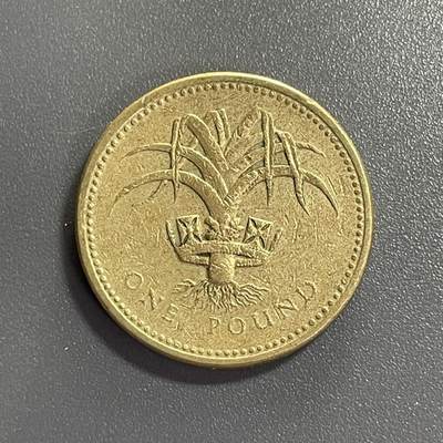 回流钱币1001-1 - 英国1985年1英镑铜币 威尔士韭葱