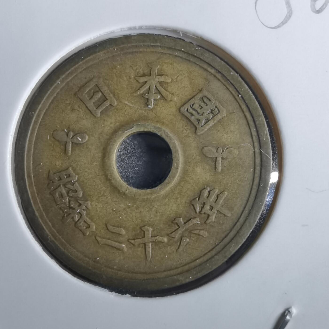 沼泽如烟--第856场