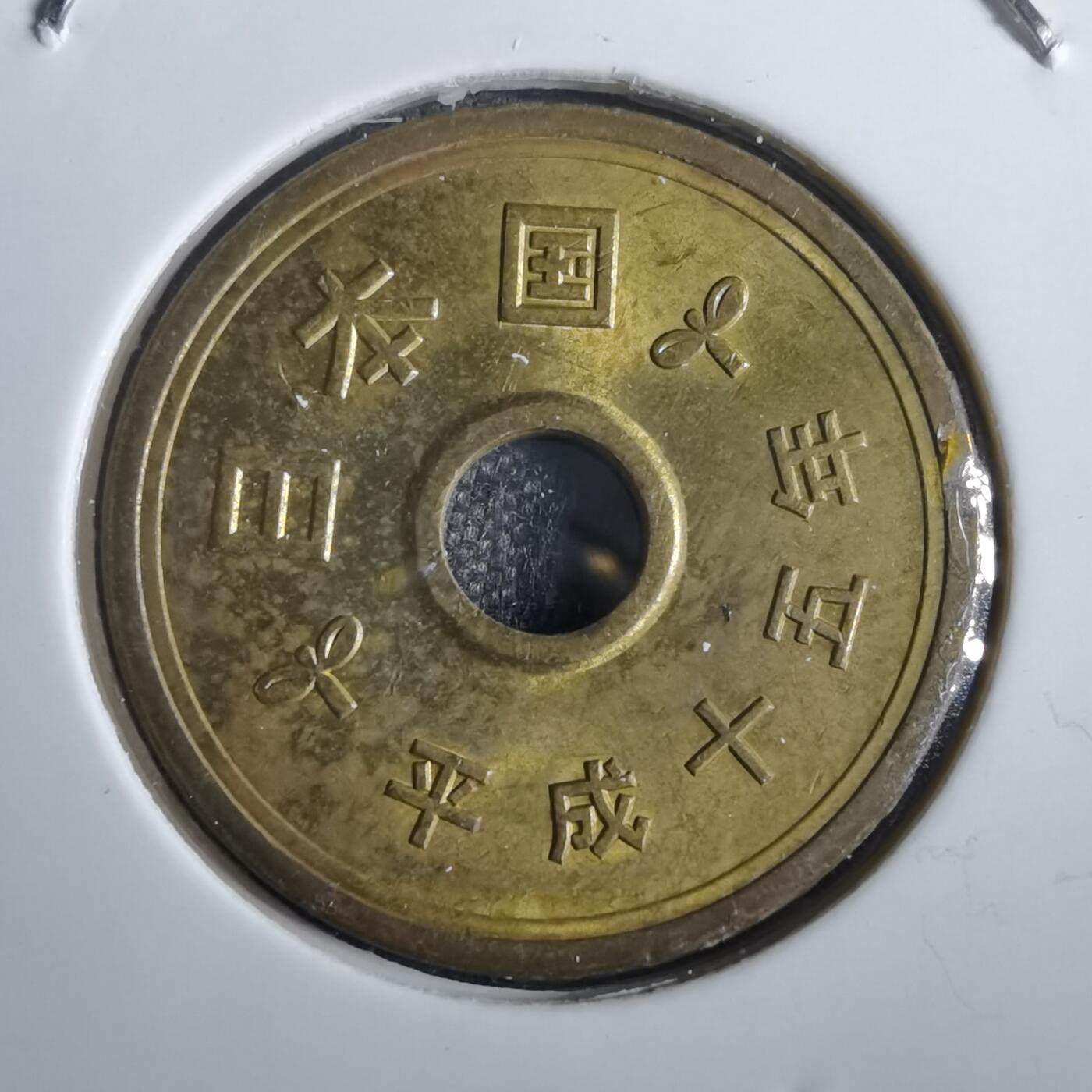 沼泽如烟--第856场