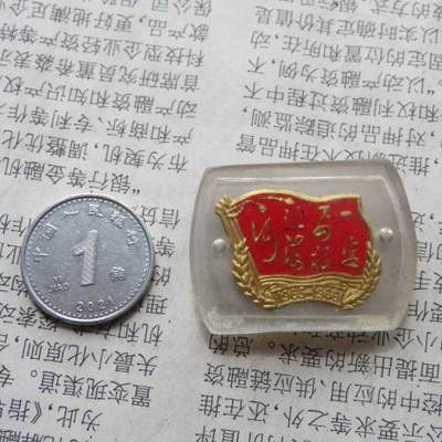 1965-1966“一定要根治海河”毛主席题词有机玻璃纪念章 - 1965-1966“一定要根治海河”毛主席题词有机玻璃纪念章