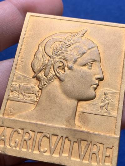 《竞宝斋》第423场 周日，周一，周二  3场连拍 （全场包邮） 索西埃泰·托塔勒芒公司颁发农业镀金铜章 71克 44.8*59.8mm 铜标