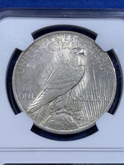 《竞宝斋》第423场 周日，周一，周二  3场连拍 （全场包邮） NGC MS63 美国1923年和平银元，细节清晰，原光品质