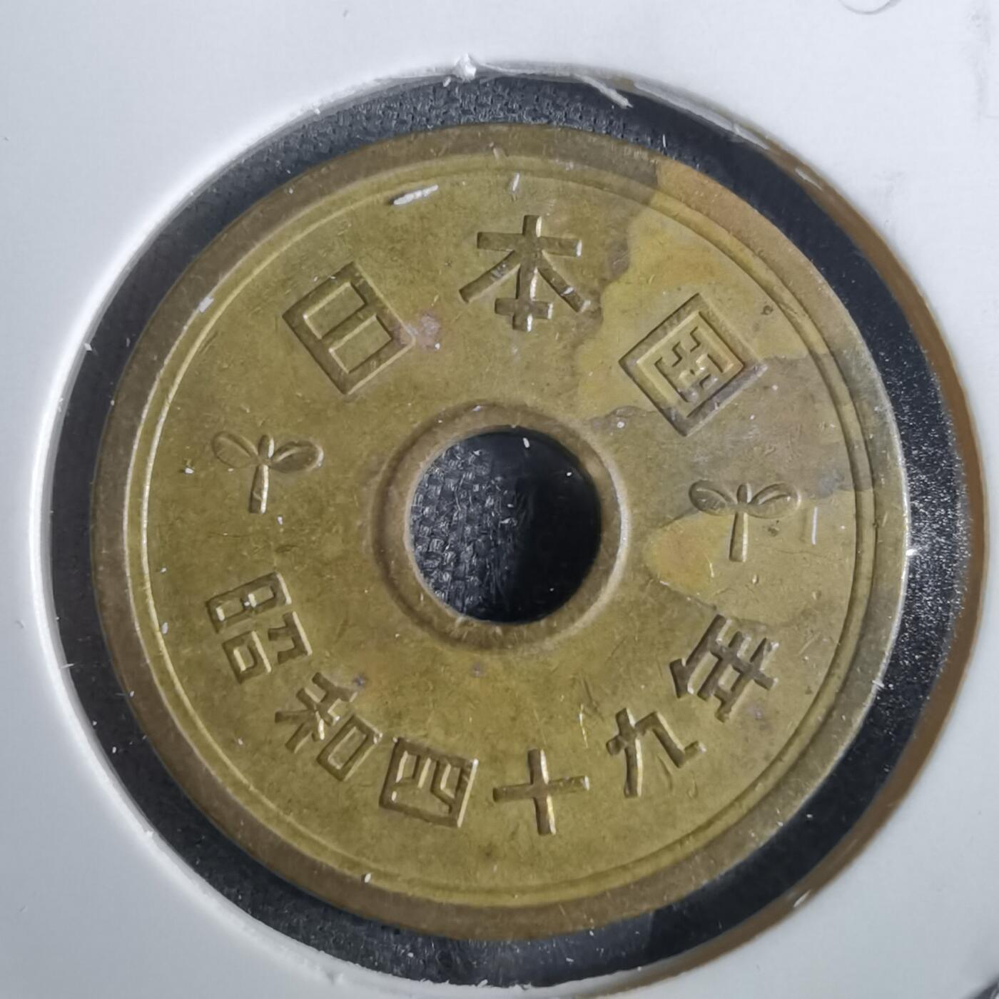 沼泽如烟--第856场