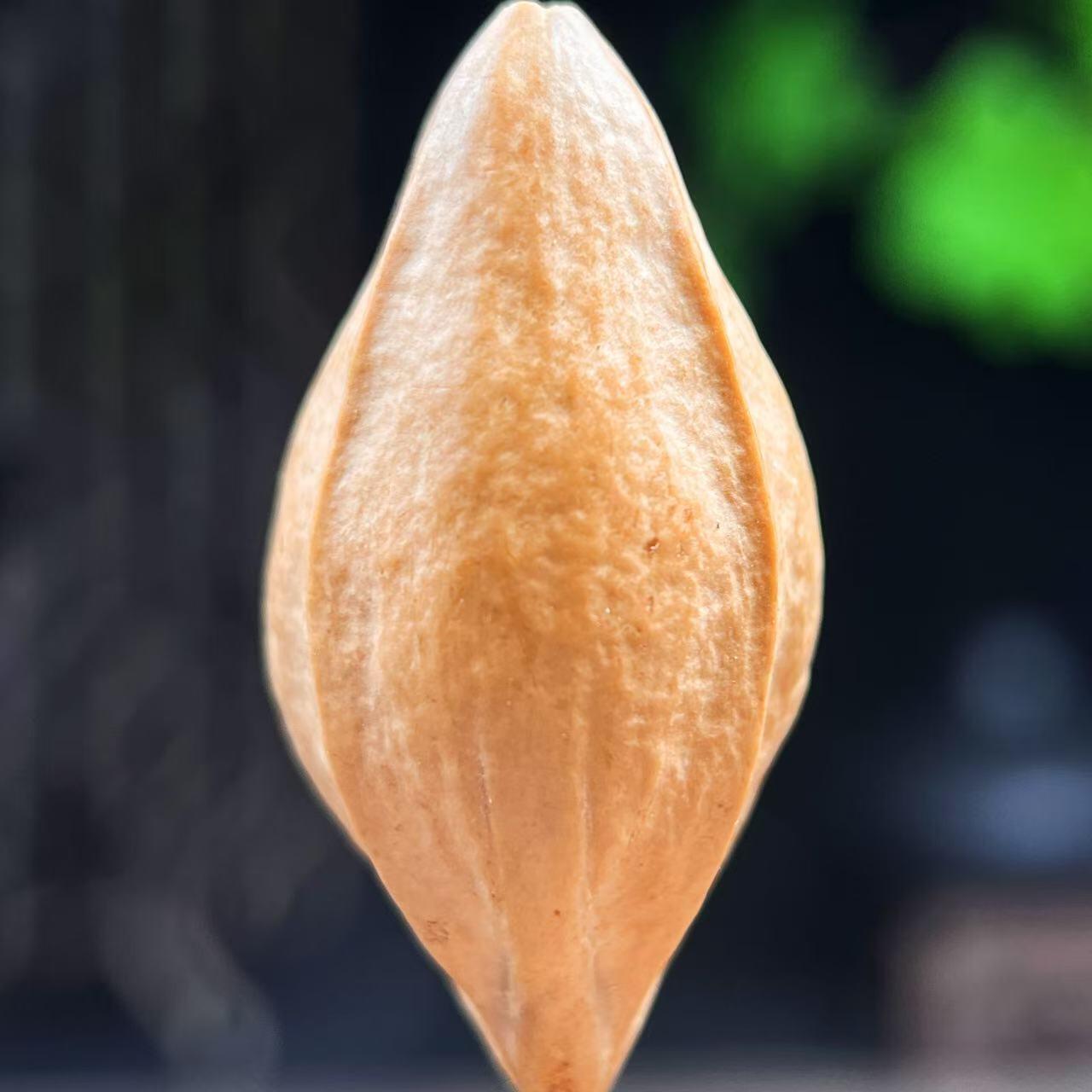 橄榄核雕 2.0四大天王 文玩单粒吊坠