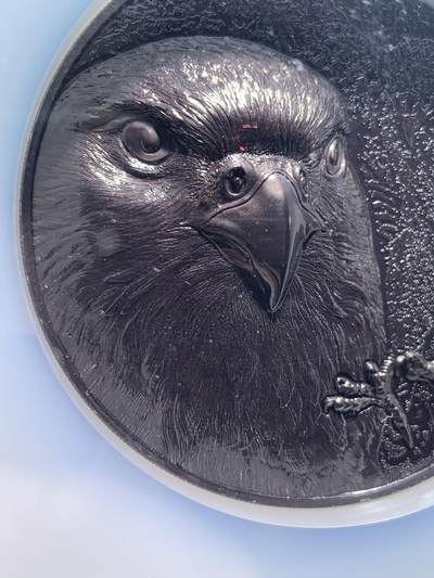 《竞宝斋》第423场 周日，周一，周二  3场连拍 （全场包邮） NGC PF70 蒙古2023年野生动物系列-草原隼（钌化）5000图格里克精制纪念银币（CIT超高浮雕，5盎司重，999纯银，155.5克，45MM，限量3000枚）加大加厚盒 细节见图