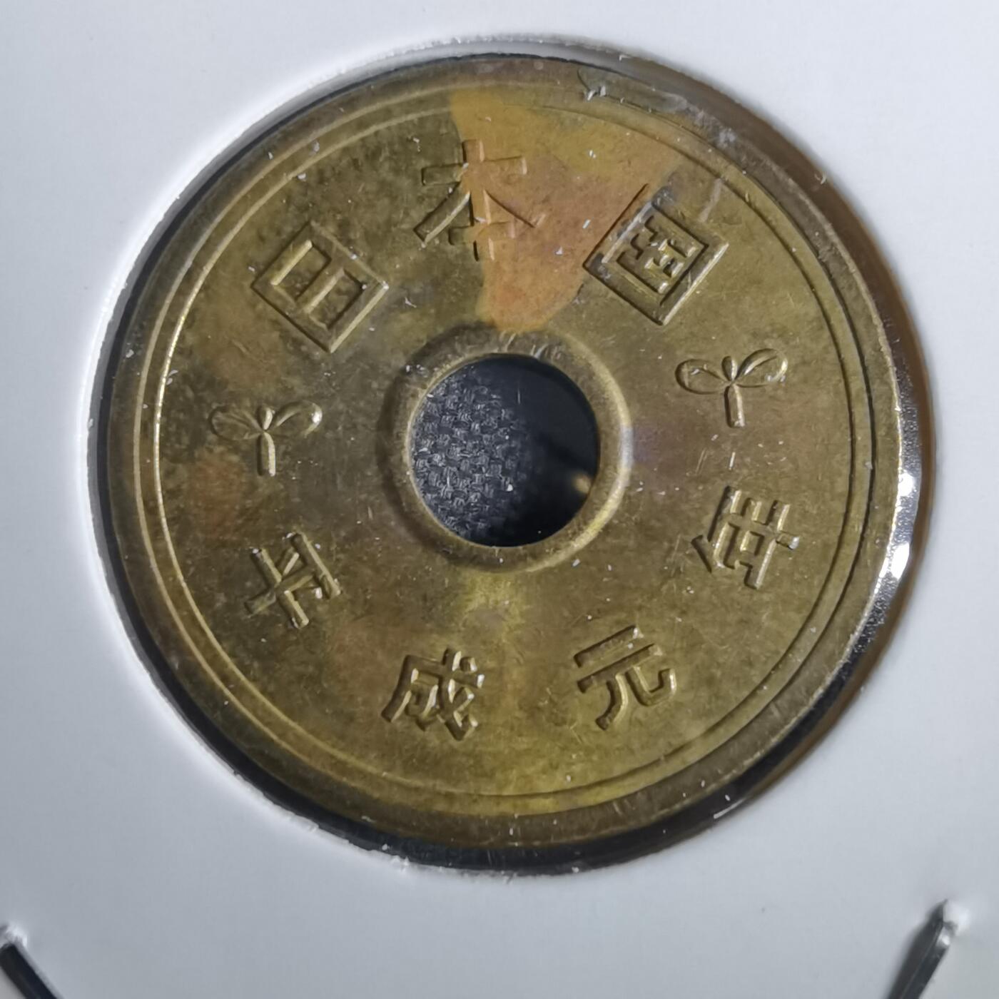 沼泽如烟--第856场