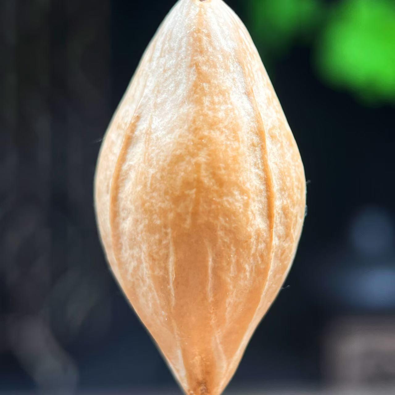 橄榄核雕 2.0地府 文玩单粒吊坠