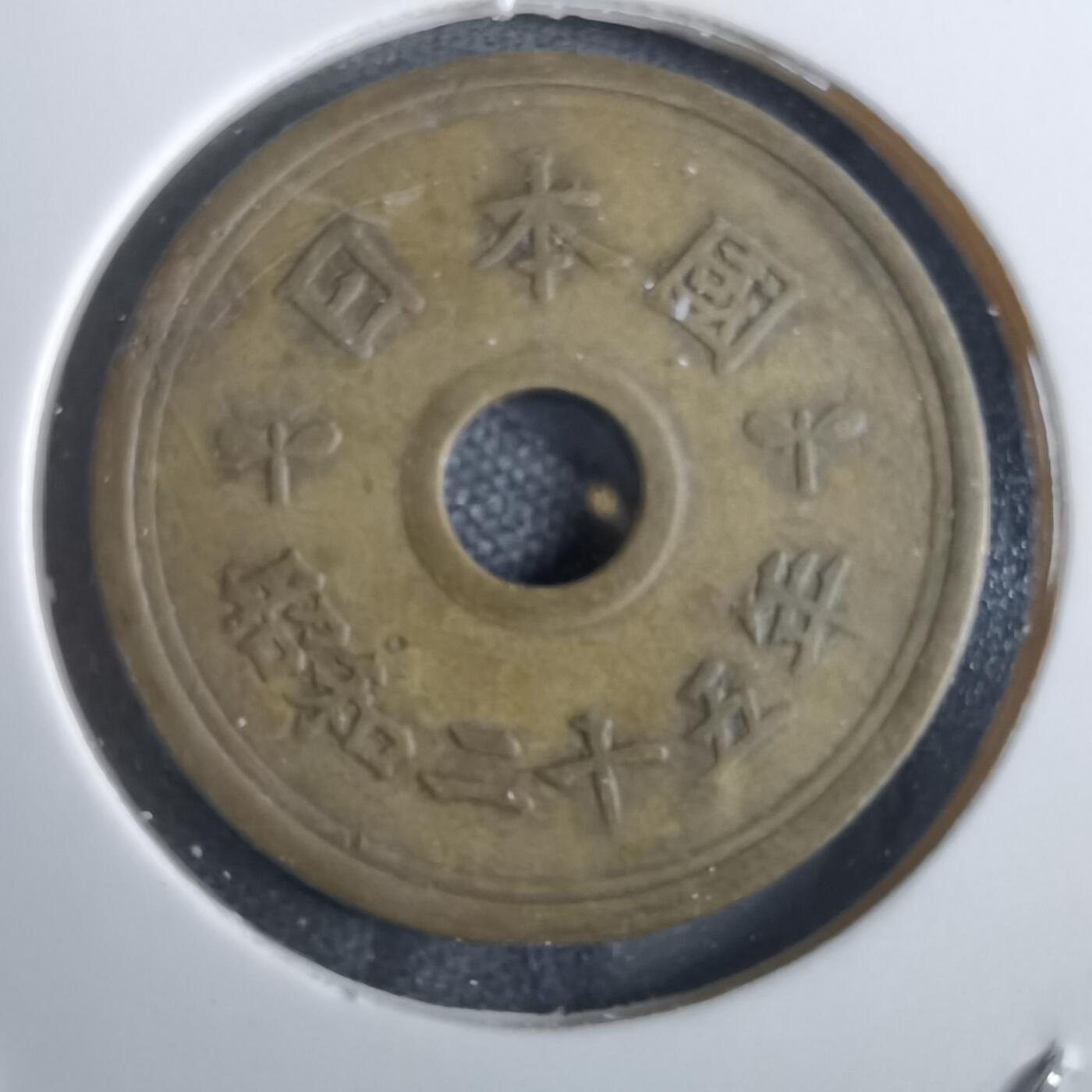 沼泽如烟--第856场