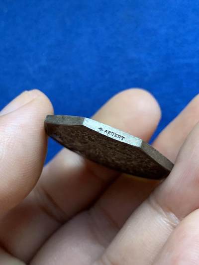 《竞宝斋》第424场 周日，周一，周二  3场连拍 （全场包邮） 法国园艺协会八角银代币 蜜蜂银标 11.15克 28.6mm