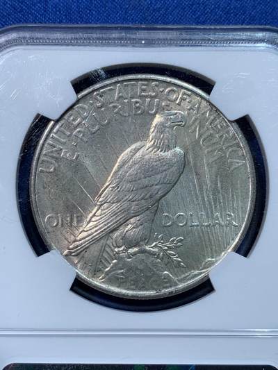 《竞宝斋》第424场 周日，周一，周二  3场连拍 （全场包邮） NGC MS63 美国1924年和平鸽1美元银币