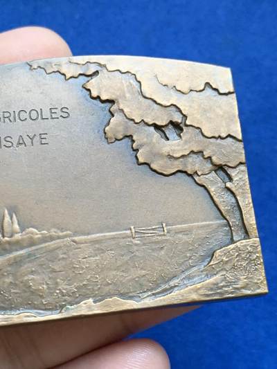 《竞宝斋》第424场 周日，周一，周二  3场连拍 （全场包邮） 法国皮赛地区农业博览会纪念铜章 牛线条肌肉感极强 高浮雕 121.5克 63.8*46mm 丰饶角铜标