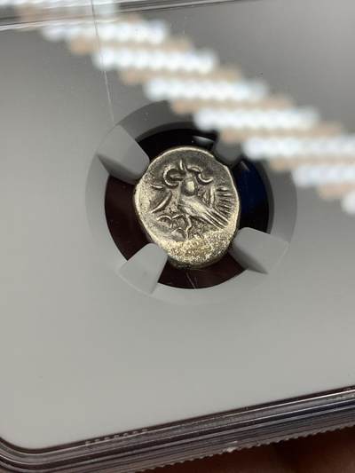 《竞宝斋》第424场 周日，周一，周二  3场连拍 （全场包邮） NGC AU55 柬埔寨 1600-1860 神鸟小鸟 2PE 打制银币