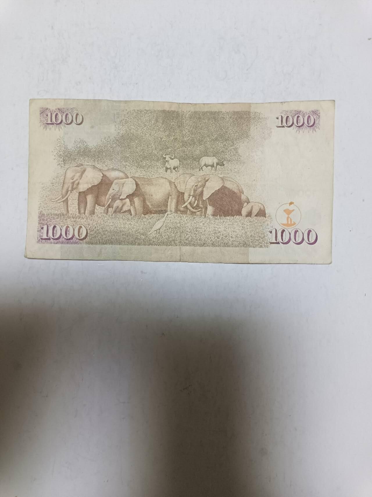 【20251003】非全新纸币第291场 肯尼亚2005年1000先令，汇率价约为55元
